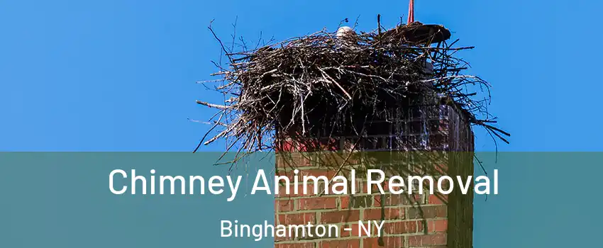 Chimney Animal Removal Binghamton - NY
