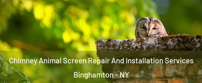  Chimney Animal Screen Repair And Installation Services Binghamton - NY