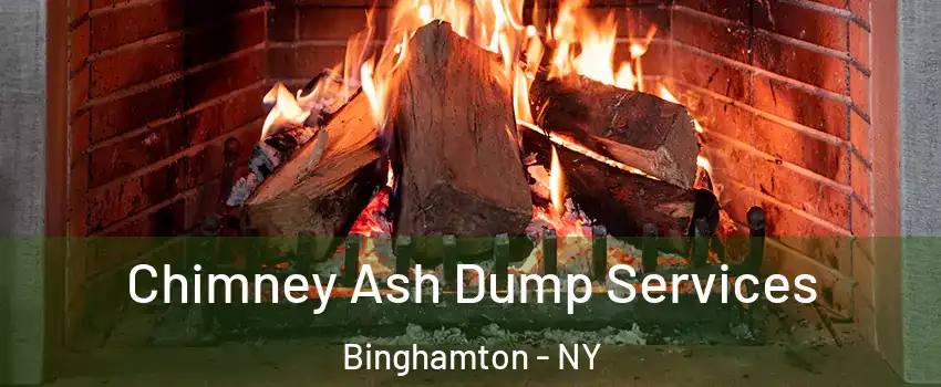  Chimney Ash Dump Services Binghamton - NY
