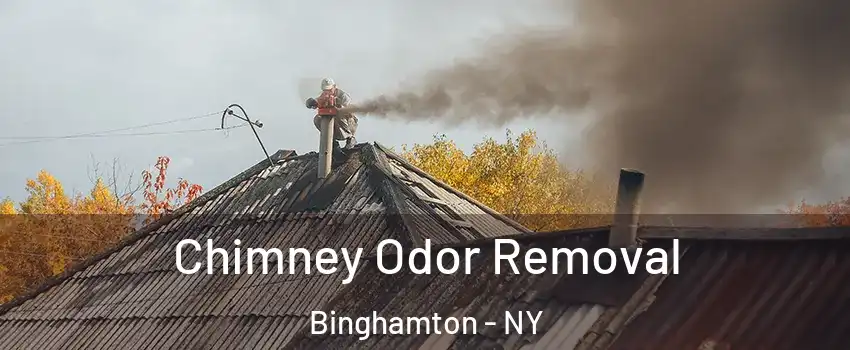  Chimney Odor Removal Binghamton - NY