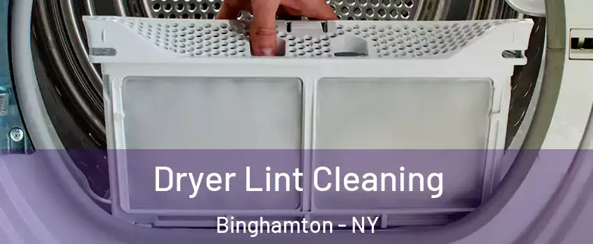  Dryer Lint Cleaning Binghamton - NY
