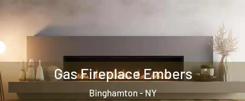  Gas Fireplace Embers Binghamton - NY