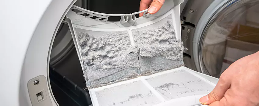 Best Dryer Lint Removal Company in Binghamton, New York