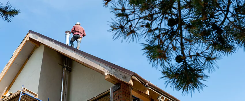 Birds Removal Contractors from Chimney in Binghamton, NY