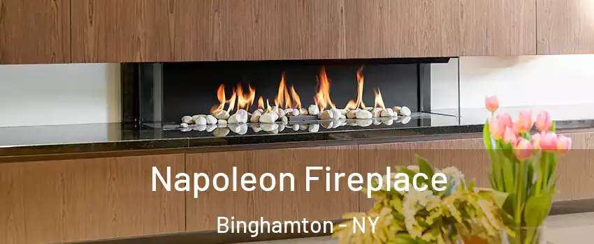  Napoleon Fireplace Binghamton - NY